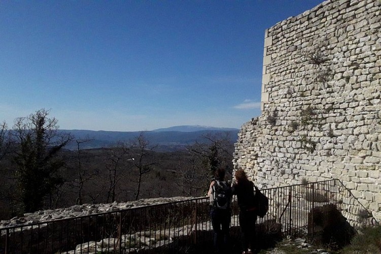 Le Ventoux depuis le site castral