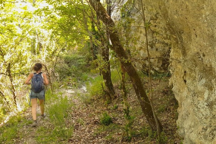 Sur le sentier de Saint-Pierre