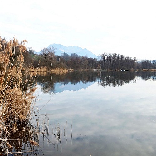 Lac de Saint Hélène