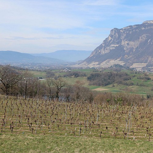 Vue sur la Savoyarde depuis Soucy