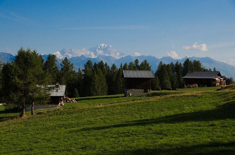 Route zum Wandern : Les Frasses