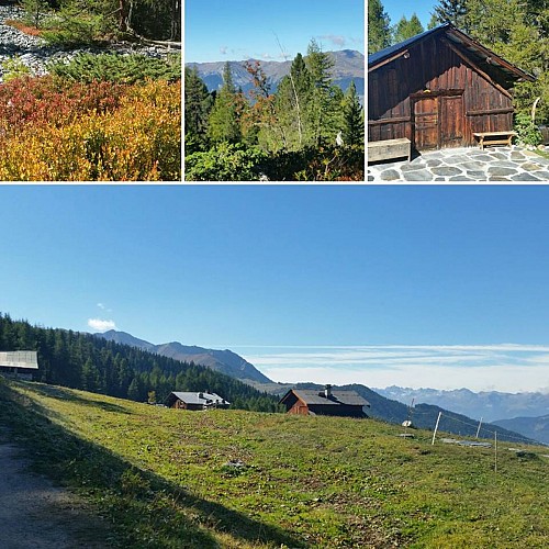 Route zum Wandern : Les Frasses