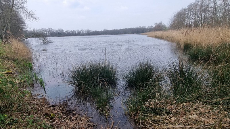 Lent - Veyle et Etangs_Lent