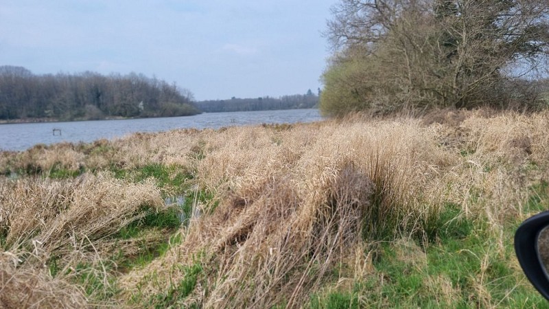 L'étang Pommier et le château Longchamp_Lent