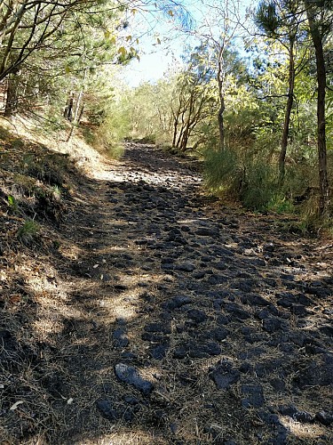 Etna Schiena dell'asino - Grotta di Pitagora - Lapide Malerba