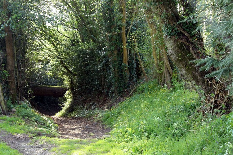 Sur le chemin du caillou marais