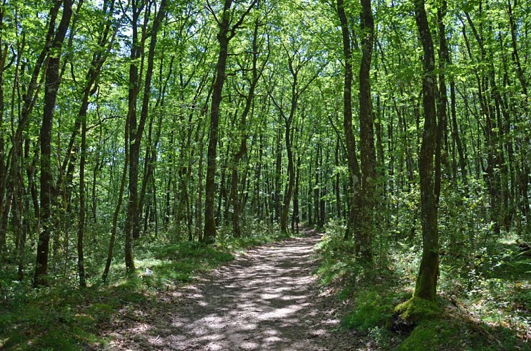 De l'homme et de la nature