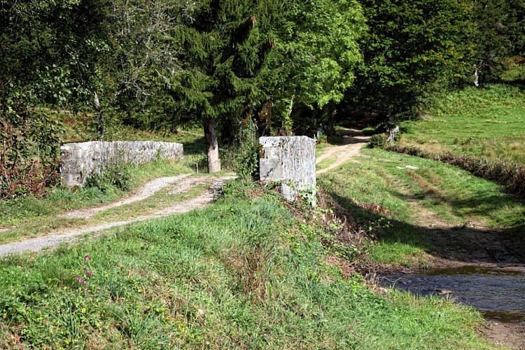 Eau, toi tombée du ciel