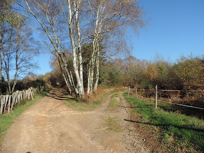 Le territoire de l'ancienne commanderie du Puy de Noix
