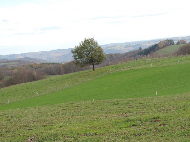 Le territoire de l'ancienne commanderie du Puy de Noix