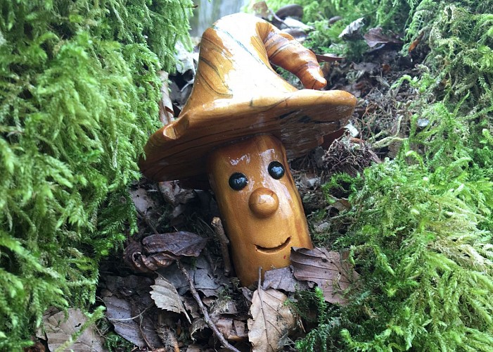 Forêt_blanchefort_2