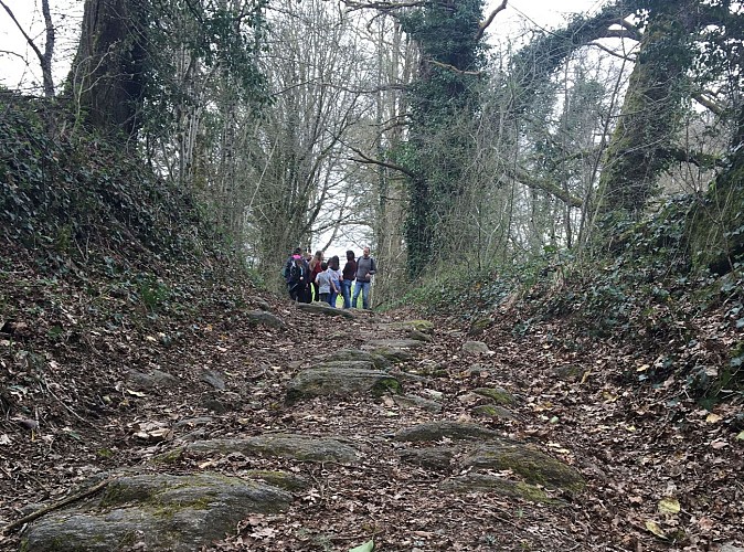 Forêt_blanchefort_4