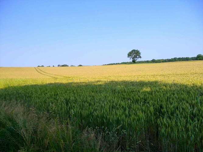 Sentier du Moulin Chabrou