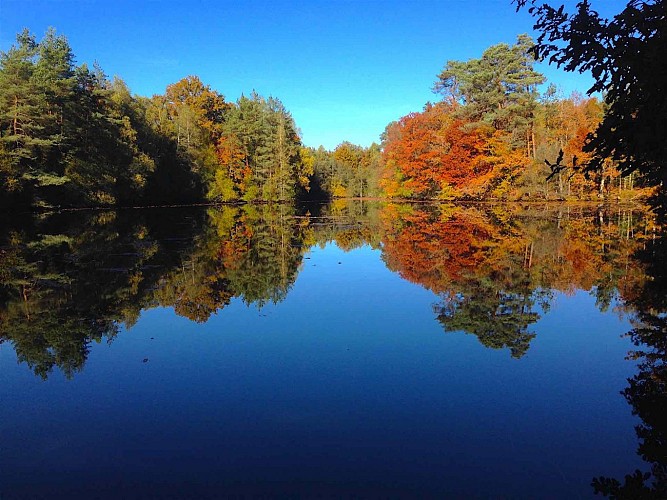 Sentier du Moulin Chabrou_4