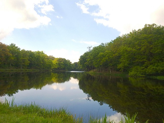 Sentier du Moulin Chabrou