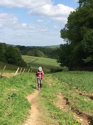 Entre Oinville sur Montcient et La Chartre