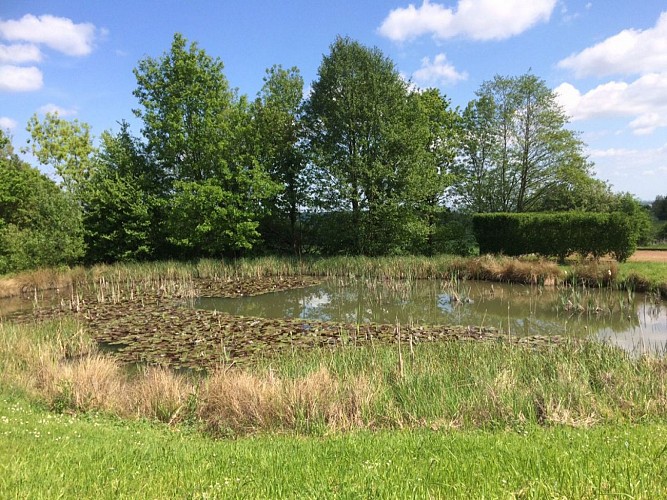 La Chartre - La mare aux Poiriers
