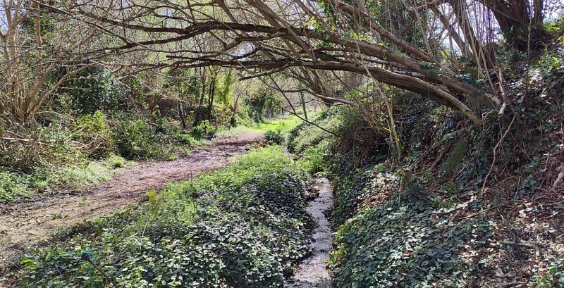 Boucle de Kerhuel | Saint Michel en Grève