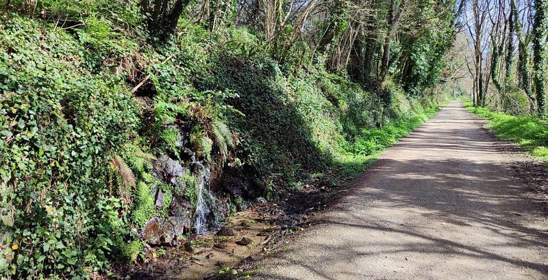 Source le long de la voie férrée