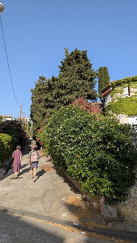 Cool Noons" freshness trail: a getaway in Endoume_Marseille