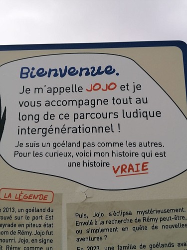 Jeu Etang des Mouettes Frontignan