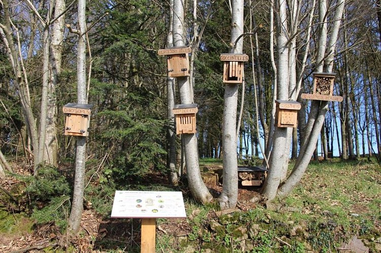 Chemin de la biodiversité