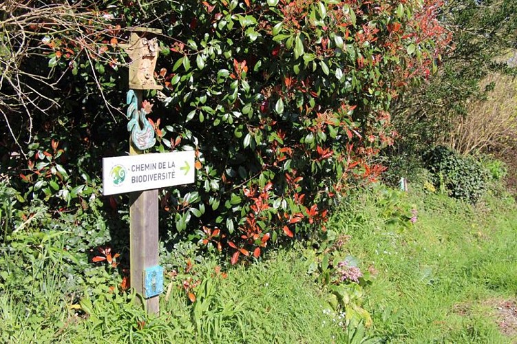 Chemin de la biodiversité