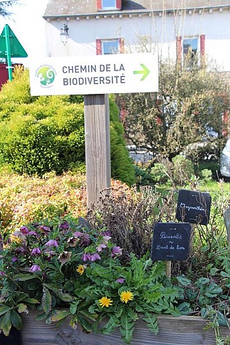 Chemin de la biodiversité