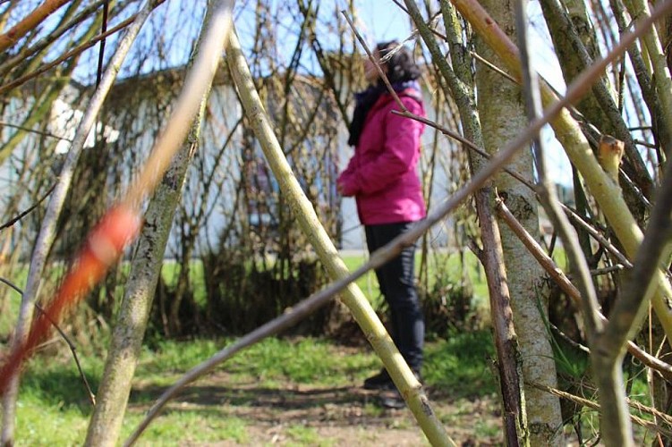 Chemin de la biodiversité