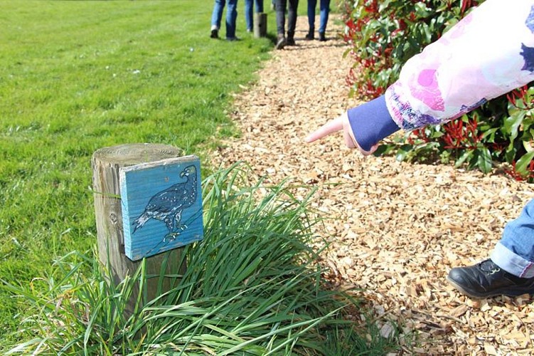 Chemin de la biodiversité