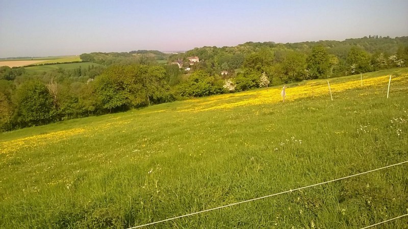 Vue sur la vallée de La Levrière depuis Hébécourt