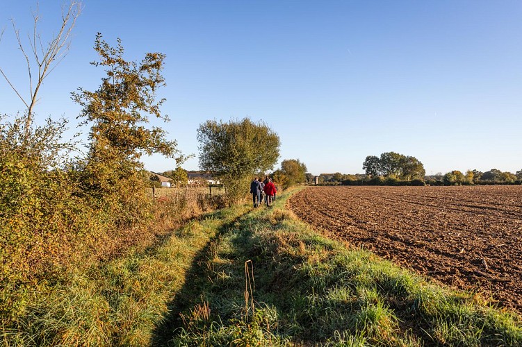 Du Plessis-Bourré aux Basses vallées angevines
