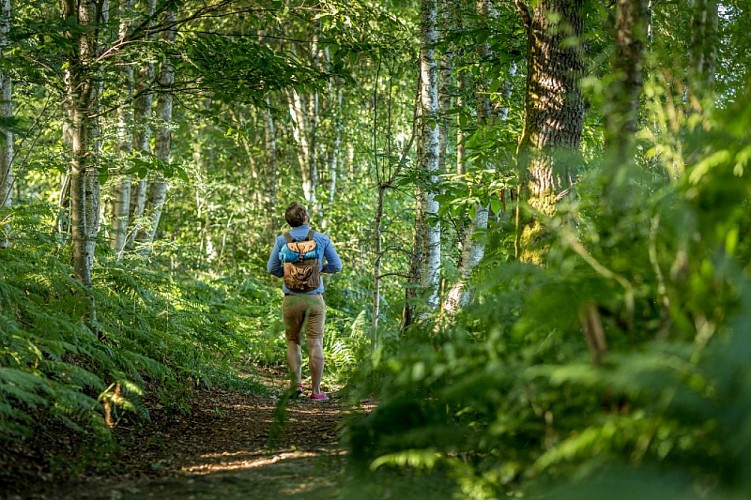 Balade en forêt avec sac à dos