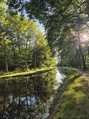 Promenade le long du canal de la Sauldre
