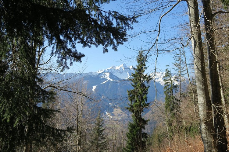 Randonnée à la Chaux_Saint-Jean-d'Aulps