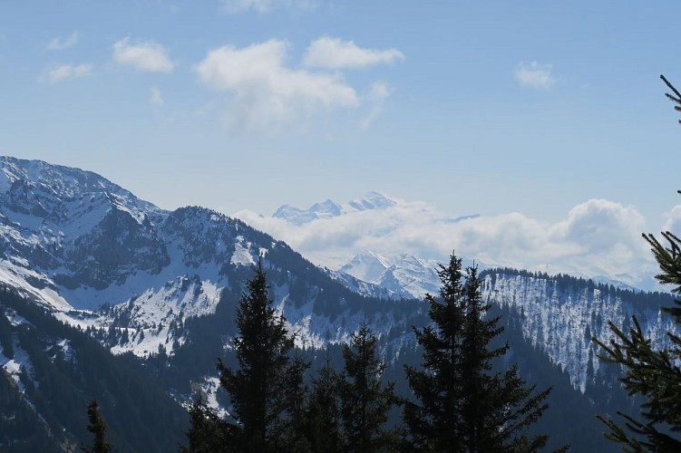 Randonnée jusqu'à la Pointe de la Croix_Saint-Jean-d'Aulps