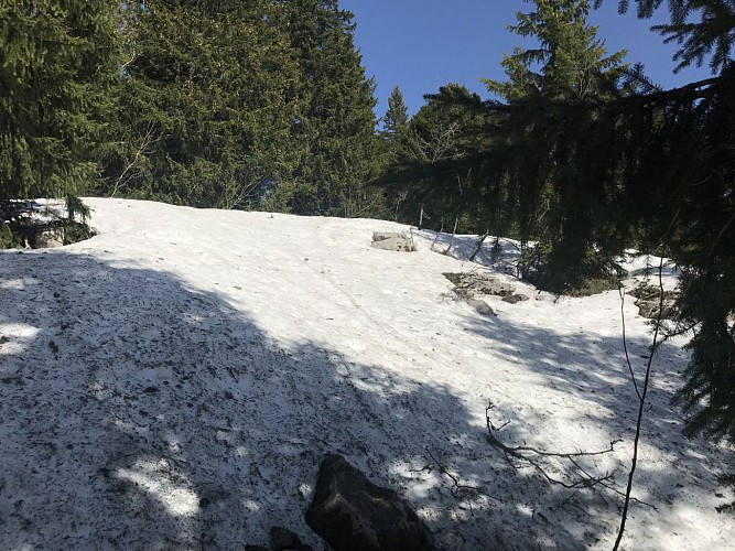 Passage de la Bourse 6 mai 2018 à 08:55:34