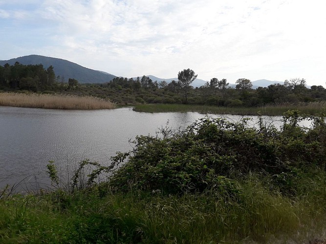 Parcours marche Plaine des Maures Lac des Escarcets et point d'eau aux alentours Le Parcours marche Plaine des Maures Lac des Escarcets et point d'eau aux alentours Le