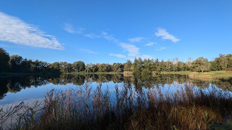 Etang Jacques-Delaby