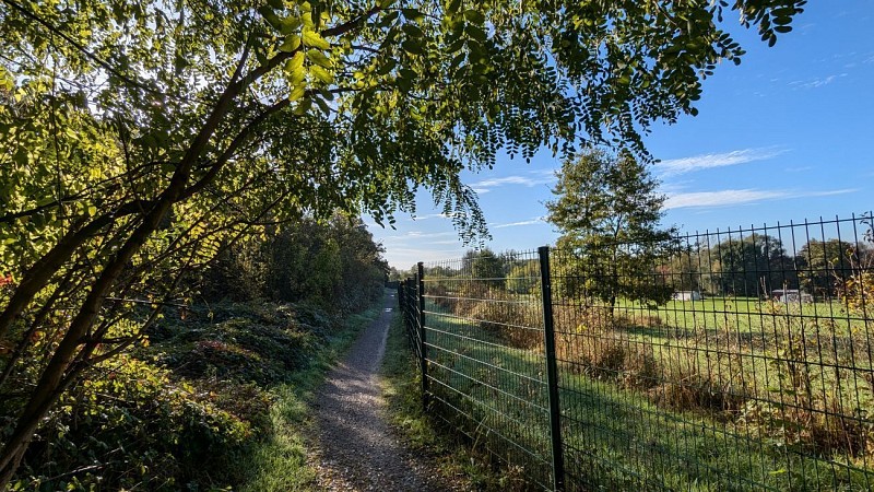 Chemin vers la Neuville II