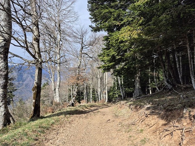 Changement d'ambiance