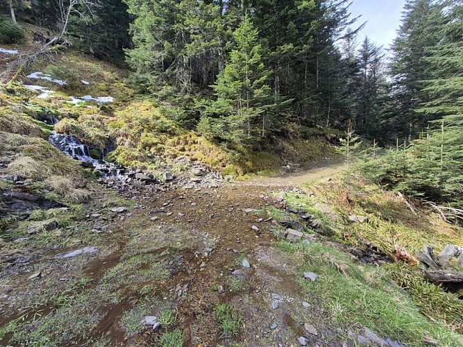 Petite pause fraicheur