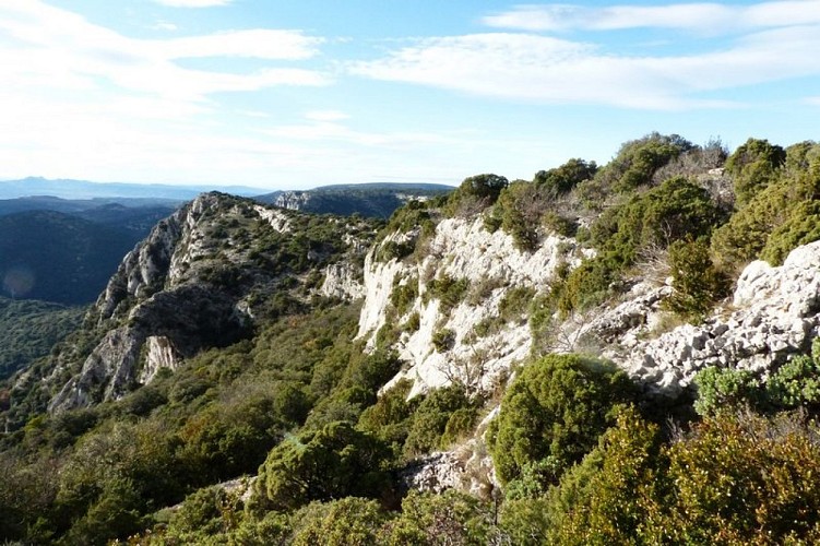 Mattoral à Genévrier de Phénicie au Portalas