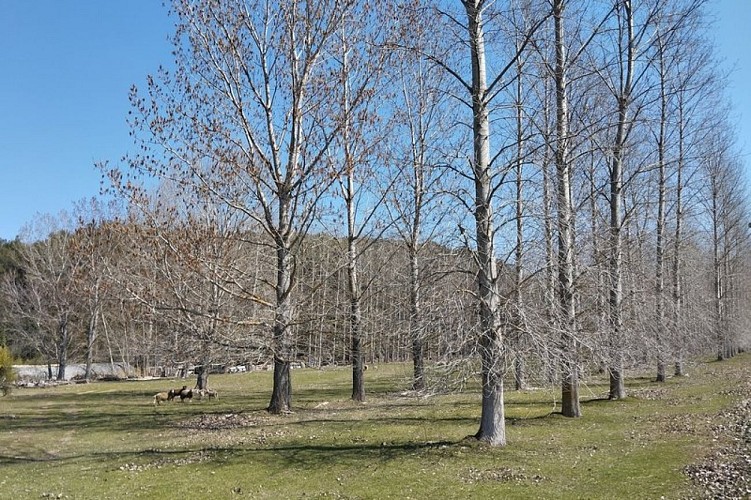 Milieux agricoles de Puget