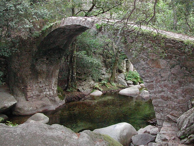 Pont de Zaglia