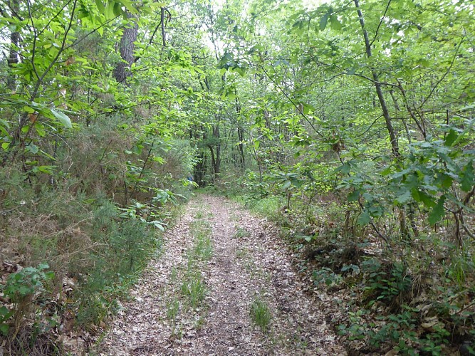 chemin dans la boucle