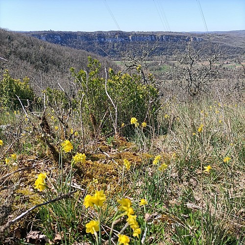 Vue sur le saut de la Mounine