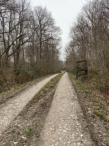 Promenade "Beauchâteau" 9km
