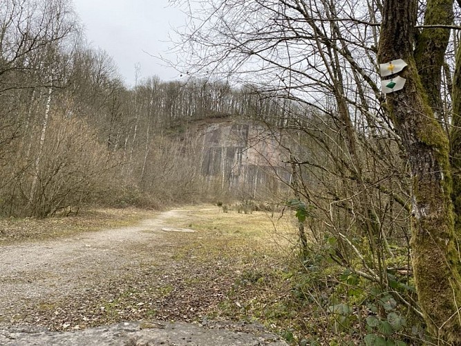 Wandeling "Beauchâteau" 9km