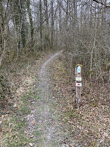 Wandeling "Beauchâteau" 9km